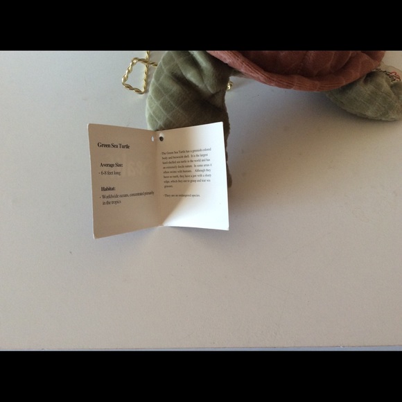 Animal Kingdom Realistic Green Sea Turtle Plush - Picture 9 of 11